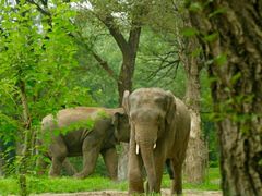 -北京野生动物园