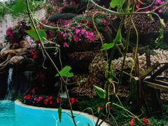 -兰陵国家农业公园