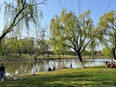 -九里河湿地公园