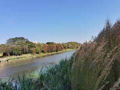 -怡海公园(桂城街道)