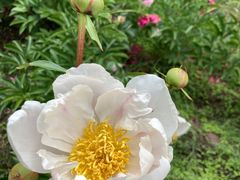 景点-长春公园(普阳街道)