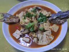 红烧狗鱼-煲来饱去冷水鱼