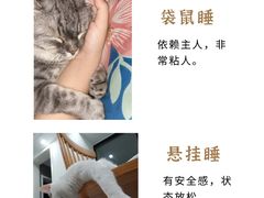 -纳吉亚猫专科动物医院博雅分院