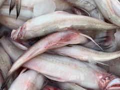 -崖口红树林海鲜餐厅