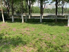 -后襄河公园
