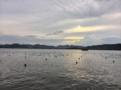 -杭州湖滨in77