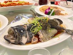 -好吉祥大酒楼