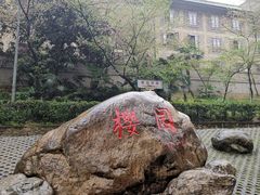-武汉大学-樱园