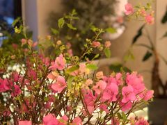 -HUATA 'Holiday Plan 花榻