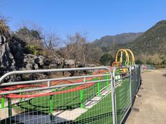 -千岛湖石林