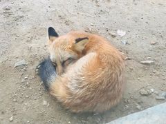 -无锡动物园·太湖欢乐园