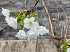 -相门城墙文化休闲景区