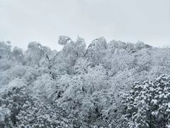 -太子岭滑雪场