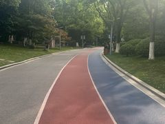 -桐乡植物园