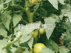 -韩士良采摘园