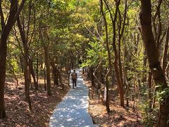 -梧桐山风景名胜区