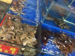 -江杨农产品批发市场