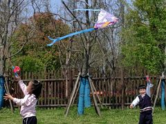 -上海长兴岛郊野公园