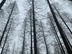 -上海怡沁园度假酒店