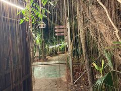 -呀路古热带植物园