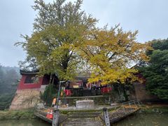 -佛荫寺
