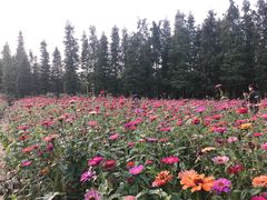 -艾溪湖湿地公园