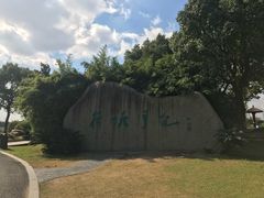 -荷塘月色湿地公园·向阳花洲