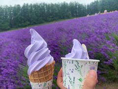 -富田农场