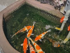 -愉肴麻辣香锅(中山路店)