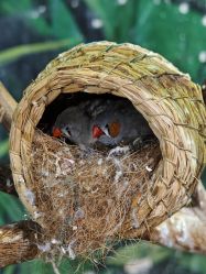 -Zoolung Zoolung动物主题公园(海信广场店)