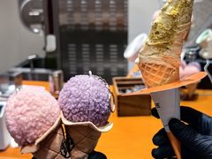 -野人先生现做冰淇淋(北京环宇荟店)