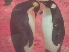 -珠海长隆海洋王国