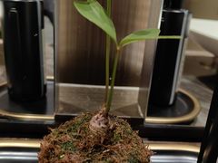 -远洲凤凰山庄臻味全日餐厅