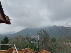-深圳仙湖植物园