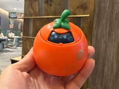 -海底捞火锅(龙岗星河COCO Park店)