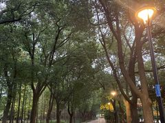 -水上明月·湖景餐厅