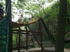 -原山国家森林公园