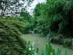 -绍兴镜湖国家城市湿地公园