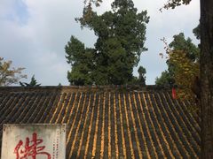 -金堂县云顶石城风景区