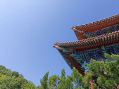 -天下玉苑