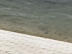 -黄店镇芝堰英才饭店