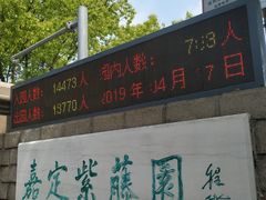 -嘉定紫藤园