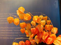 -王德传茶庄(上海新天地店)