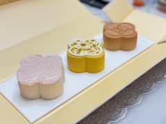 -瑭所popup(三里屯店)