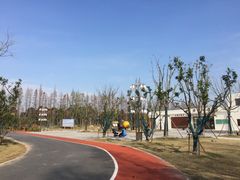 -上海长兴岛郊野公园