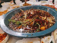 -渔香岛美蛙鱼头火锅(威清路店)