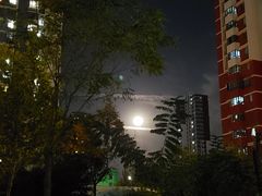 -鸣记脆皮烤鱼(铁西店)