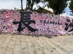 -靖港古镇