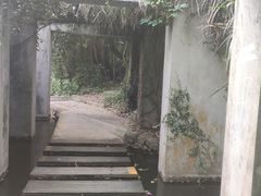 -燕晗山郊野公园