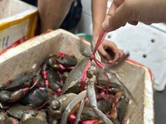 -凤凰路何眼镜香辣蟹(花果园店)